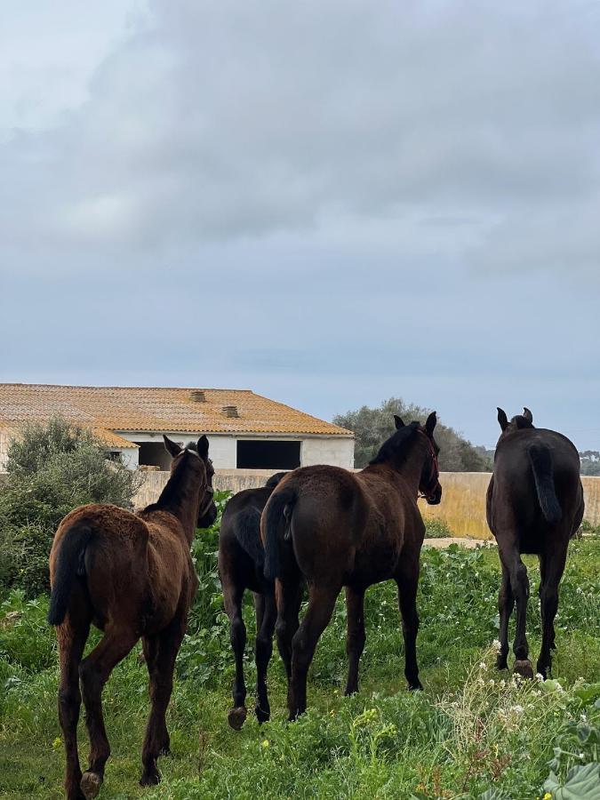 Islanders Menorca Country Club Villa Son Carrio  Exteriör bild